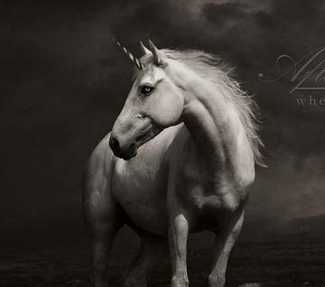 手机号短信轰在线轰炸免费软件