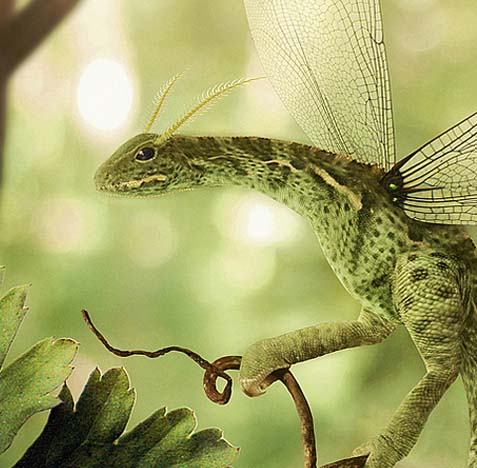 网页版短信攻击