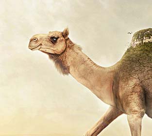 安全可靠的云呼电话轰炸